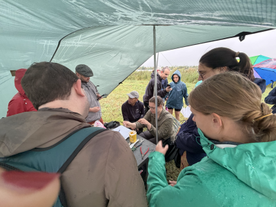 Bird trapping and ringing at Eendragtspolder park