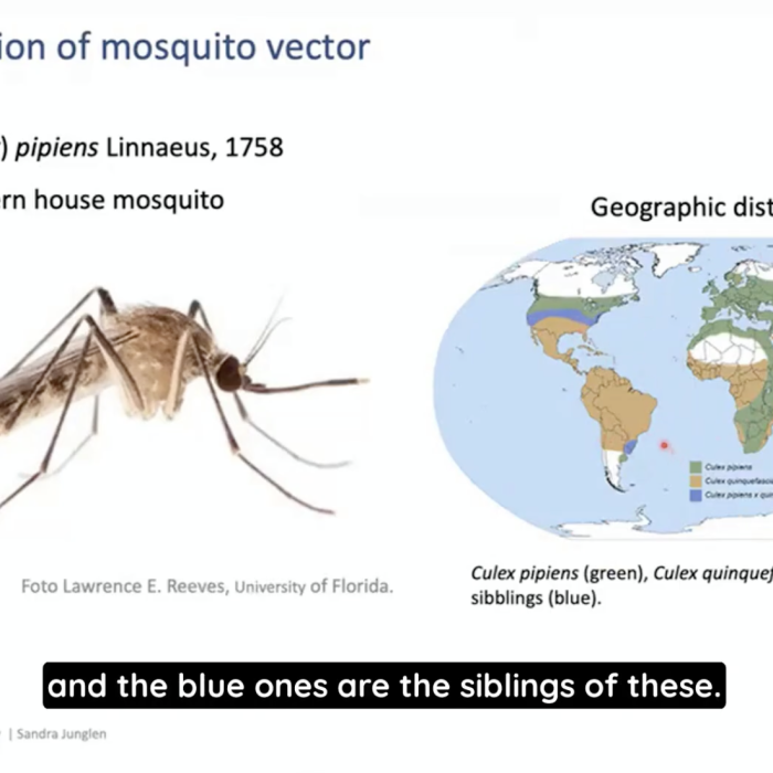 Educational videos: lectures of One Health & NbS Summer School 2026
